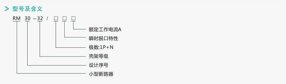 RM30(DPN)系列高分断小型断路器详情1.jpg RM30(DPN)系列高分断小型断路器详情1.jpg